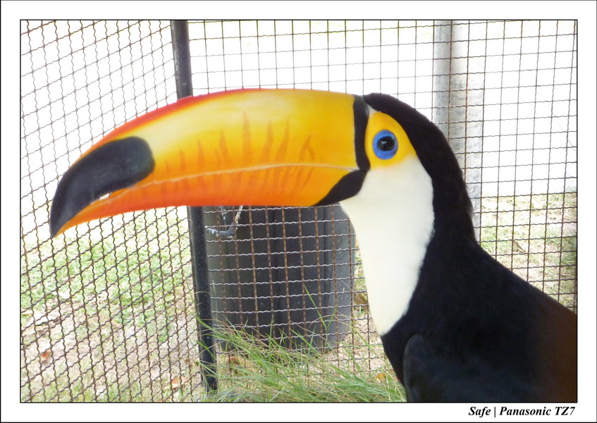 2009   08   Kho samui 54